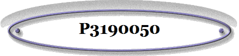 P3190050