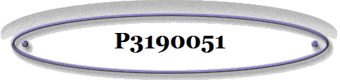 P3190051