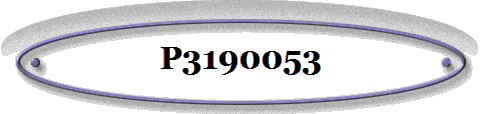 P3190053
